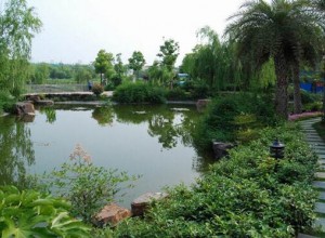 淺析園林水景設(shè)計與施工難點(diǎn)分析