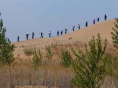 中國植樹造林幫助地球變得更綠色